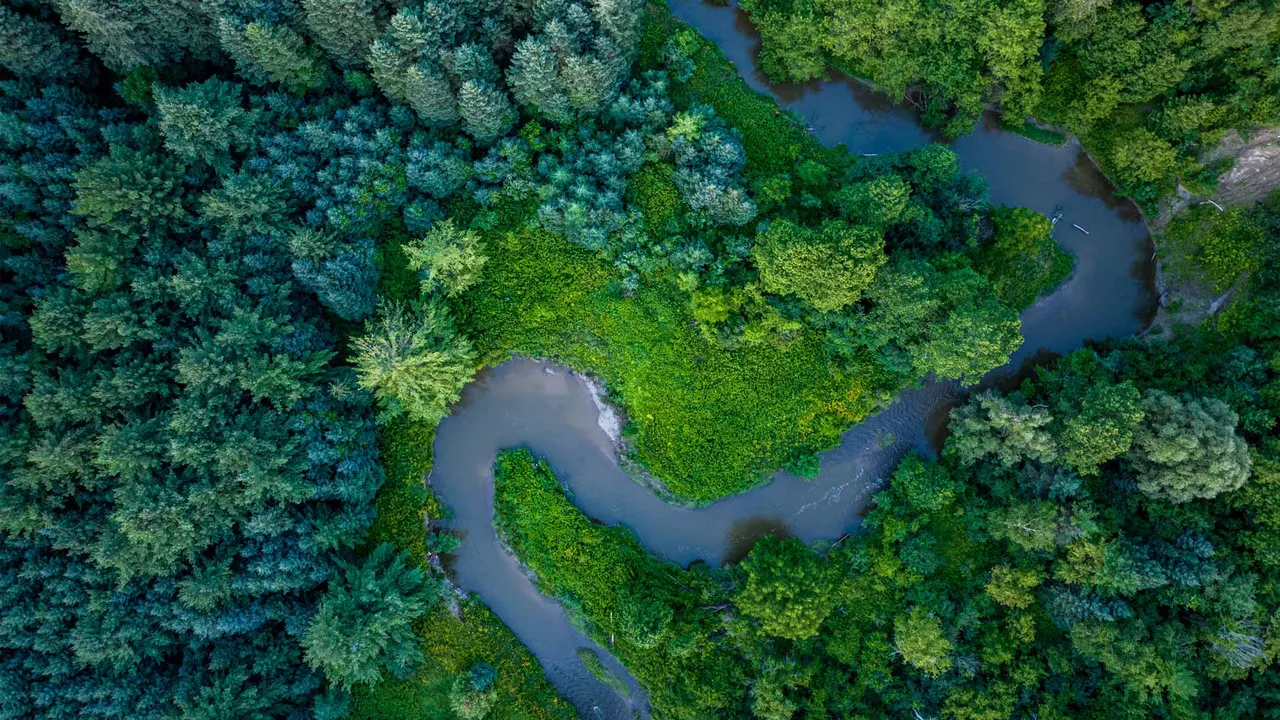 Follow the flow