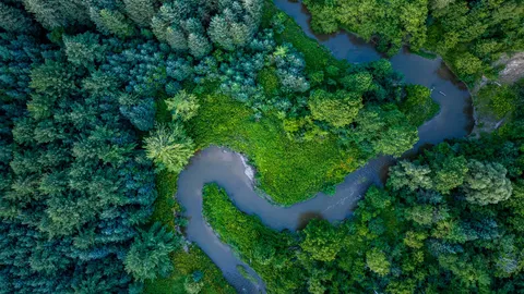 Follow the flow