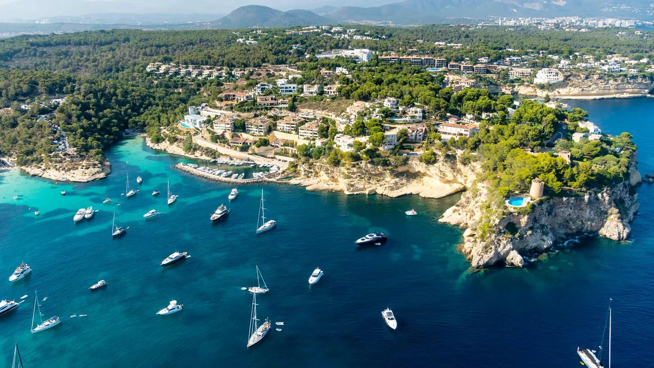 &iexcl;Velero a la vista!