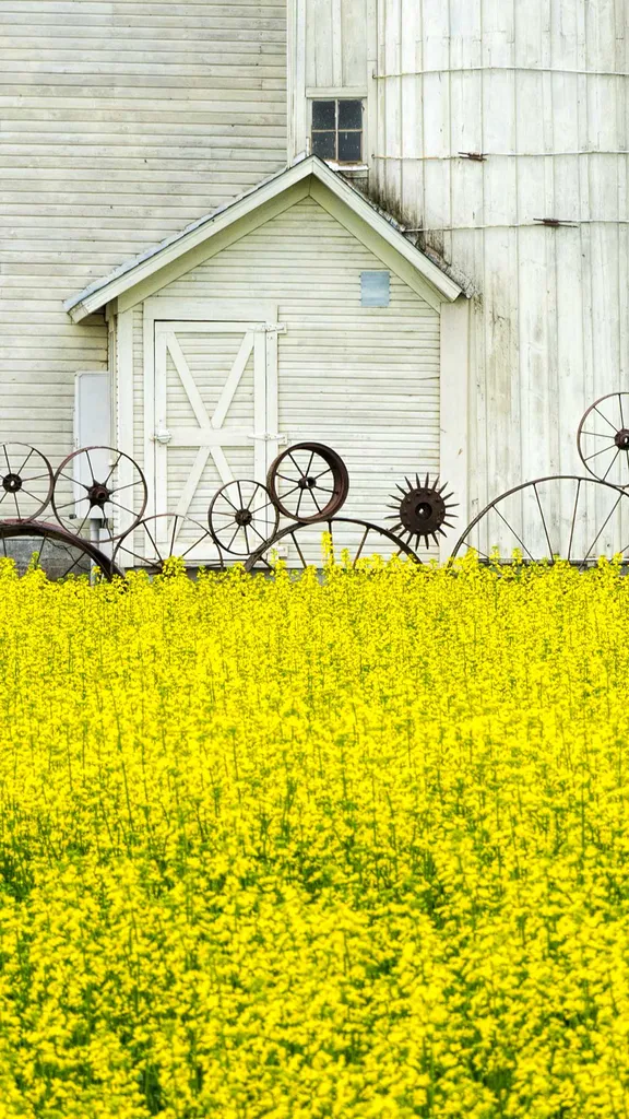 Make hay while the sun shines