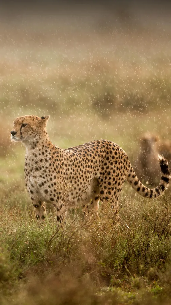Velocit&agrave; perfetta!
