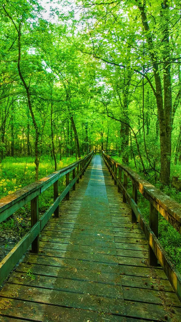 Natchez Trace Parkway, Tupelo, Mississippi, United States