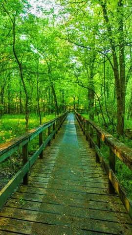 Natchez Trace Parkway, Tupelo, Mississippi, United States