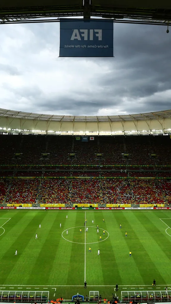 A paix&atilde;o em campo