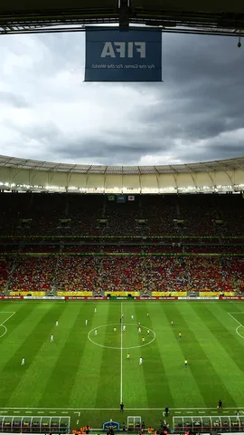 A paix&atilde;o em campo