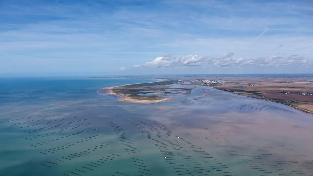 Une histoire de gastronomie &agrave; la fran&ccedil;aise