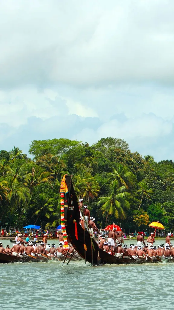 Tide Racing Boat Racing the harvest tides - Oarsmen rowing in snake boats at Aranmula ...