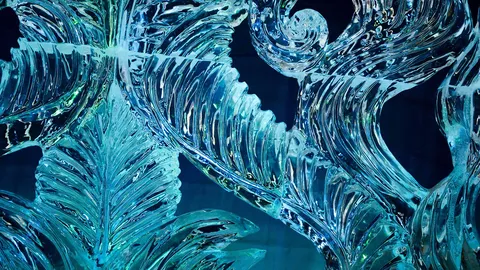 冰雪节上的冰雕艺术作品，加拿大渥太华