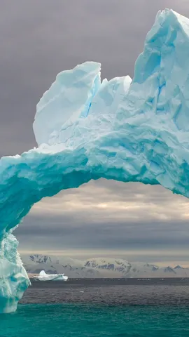 An ocean's frozen cathedral