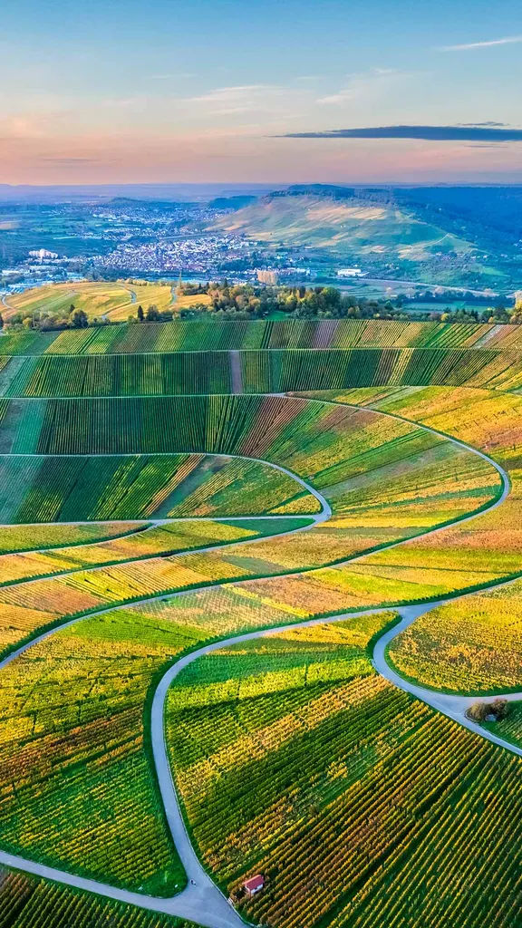 Ein Paradies f&uuml;r Weinliebhaber
