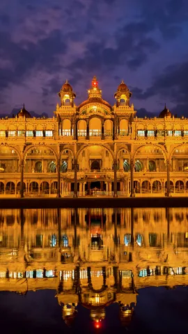 Golden hour in royal light