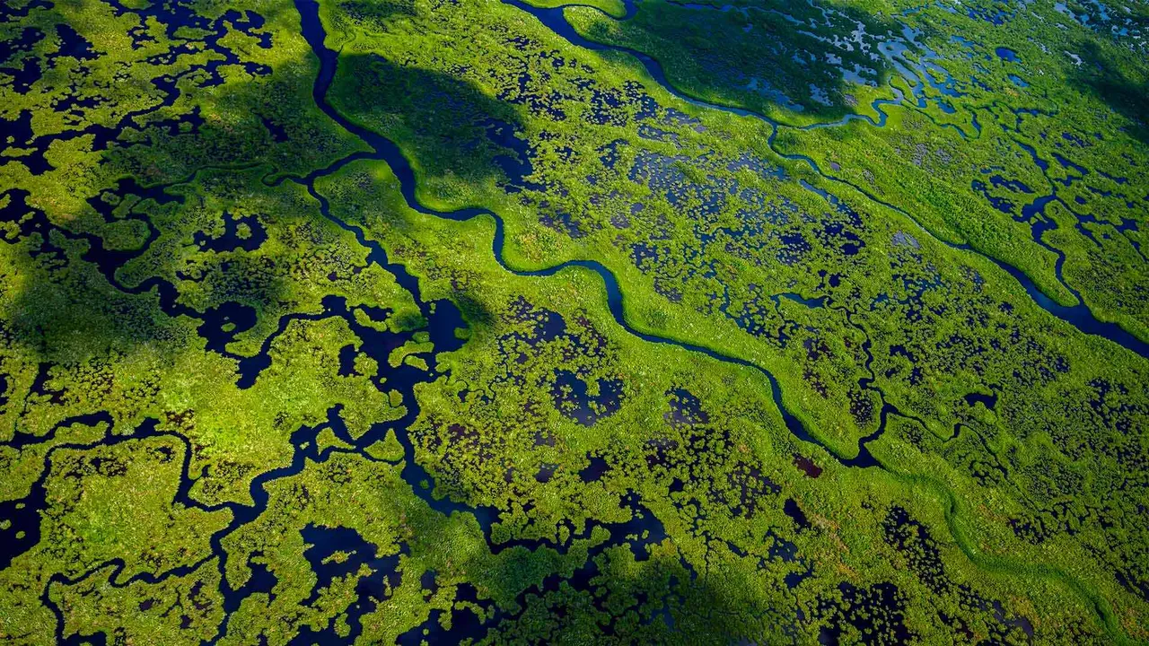 Follow the flow