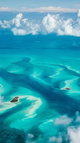 Las olas de la libertad