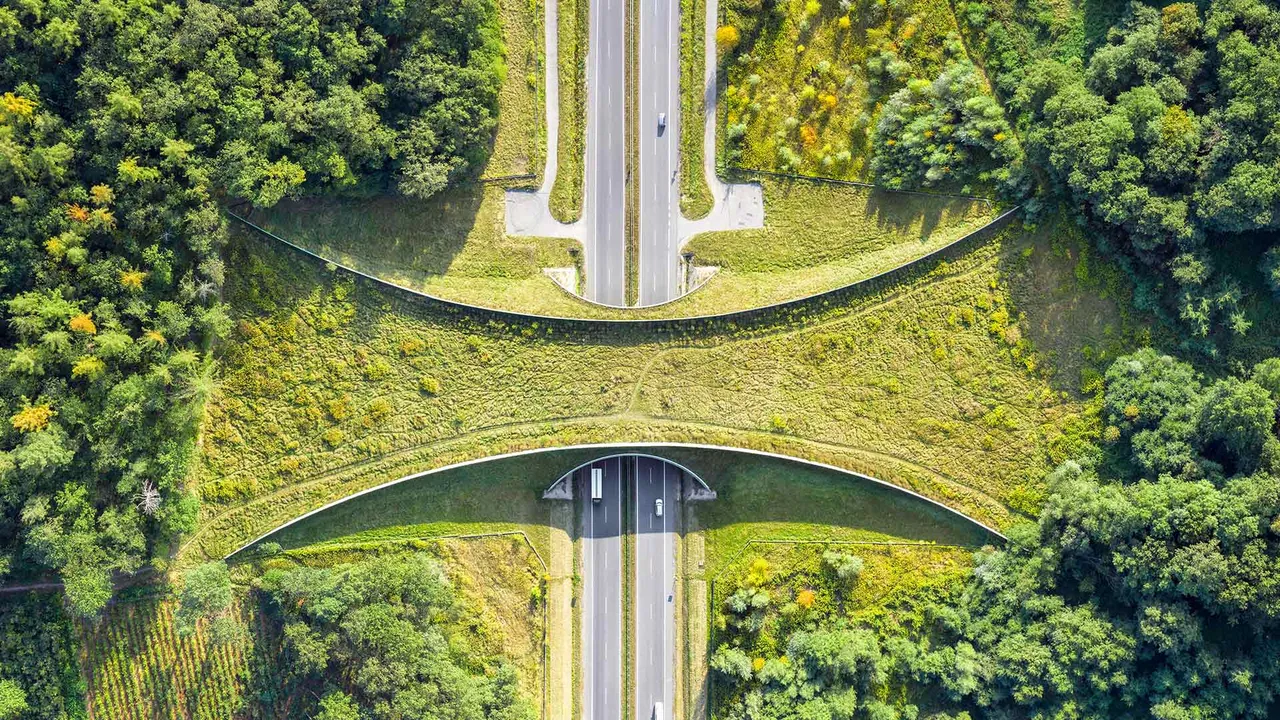 Trac&eacute; pour la nature