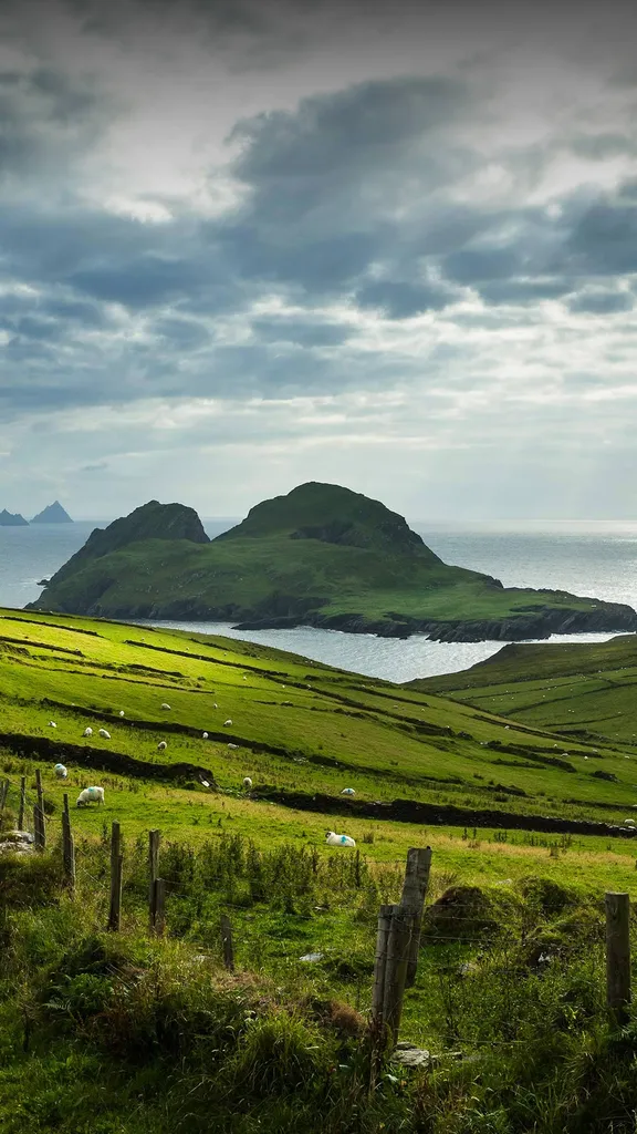 Gr&uuml;n, gr&uuml;n, gr&uuml;n ist alles, was ich habe