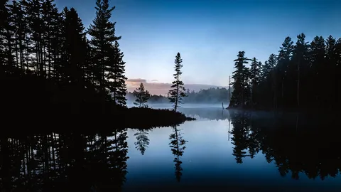 A wilder side of Maine