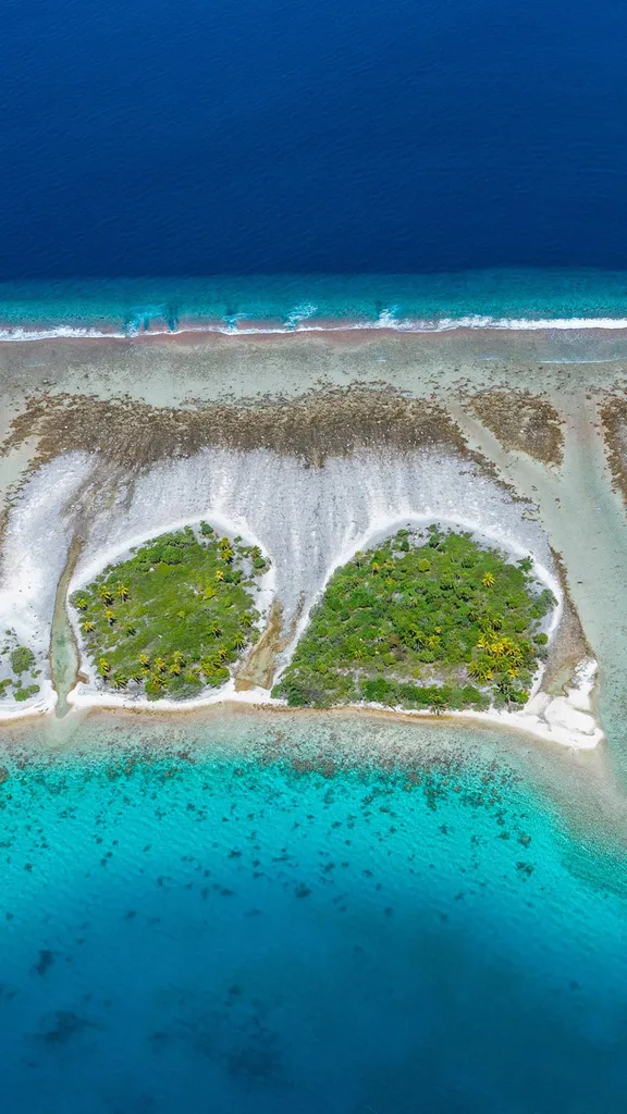 海洋生命的律动