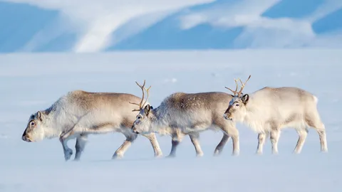 Uma manh&atilde; tranquila