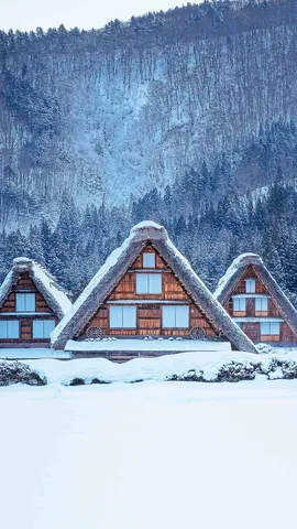 今日は二十四節気の「大雪」