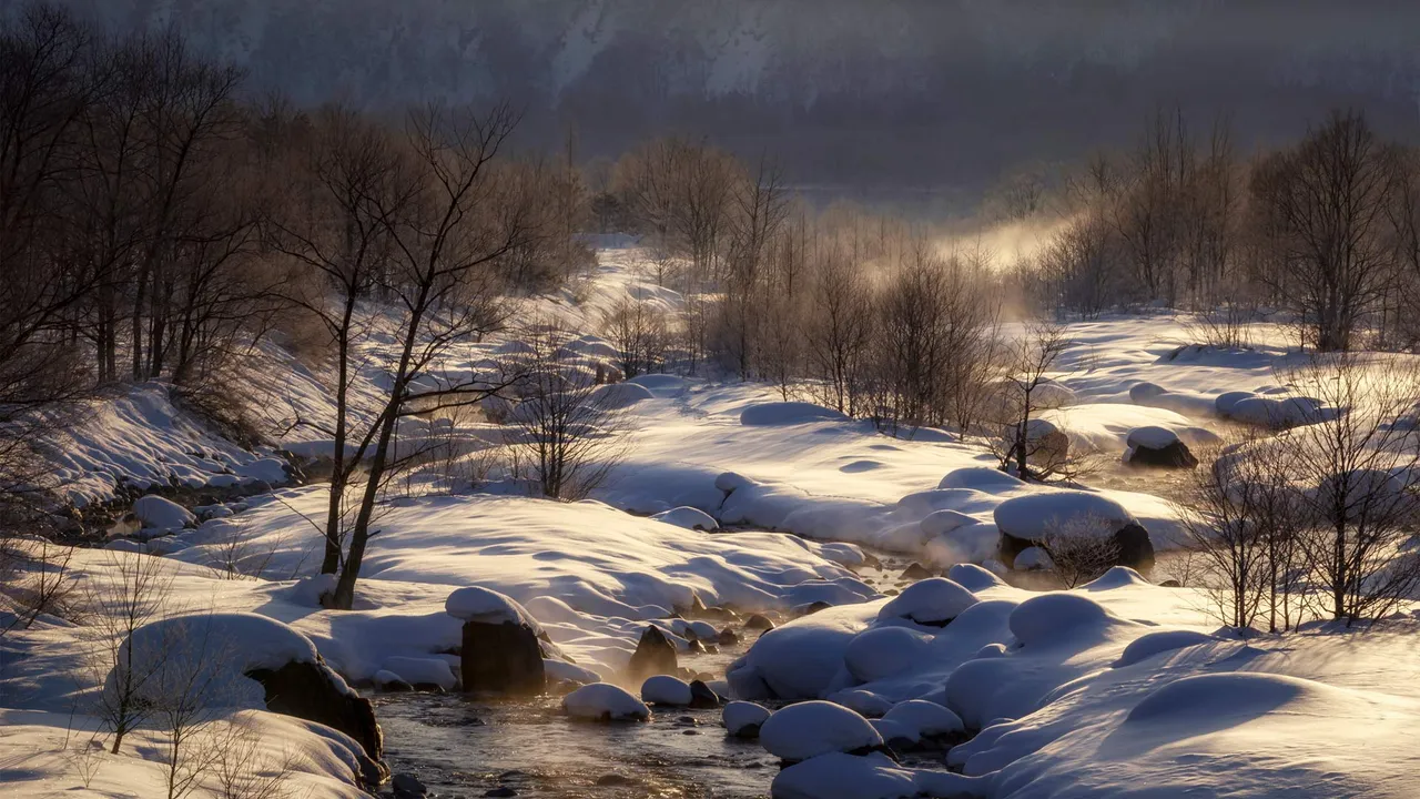 今日 は「大雪」
