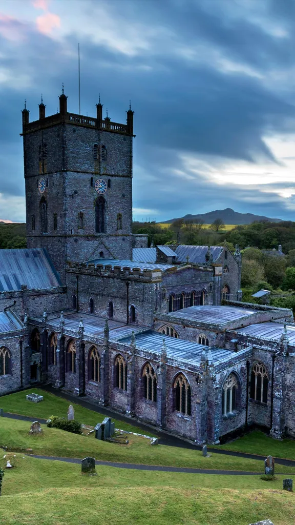 Happy Saint David's Day!