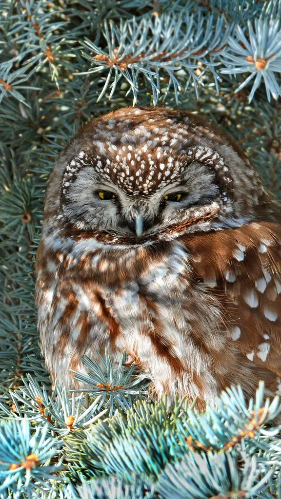 Kuschelig und behaglich