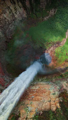 Don't just dream it, stream it!