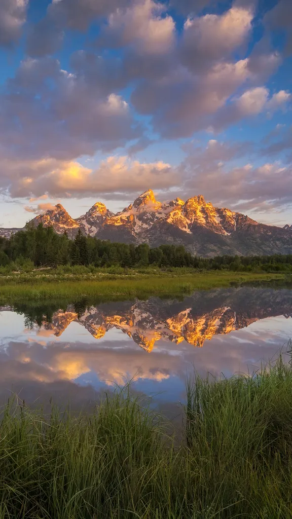 Onde o cervo e o ant&iacute;lope brincam
