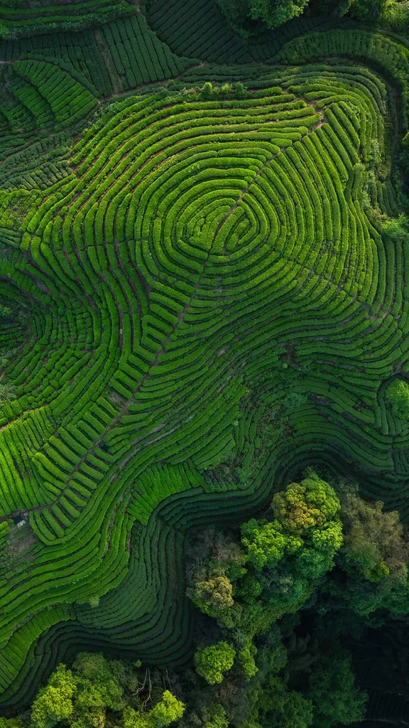 Rituali d'oriente