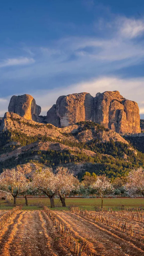 Raggiungiamo quasi il cielo!