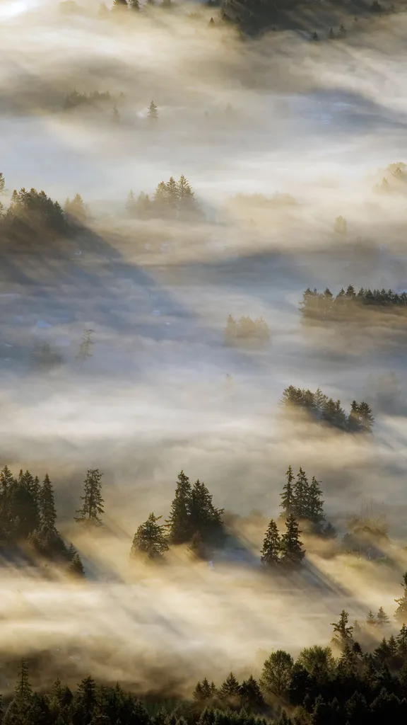 Behind a blanket of mist