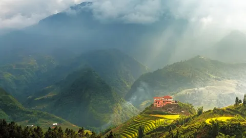 Rice fields at Sapa, L&agrave;o Cai, Vietnam