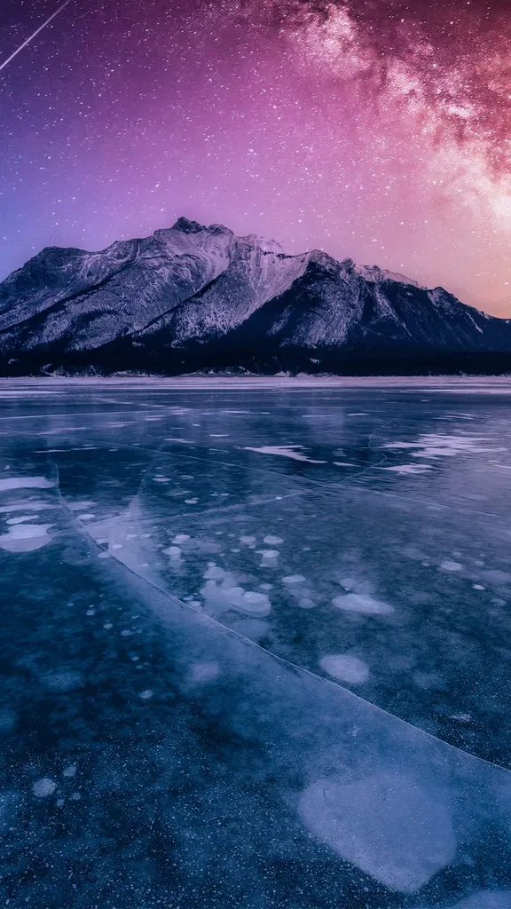 Quand la nature fait son pop art