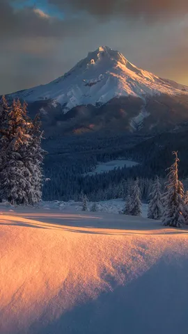 Um gigante congelado