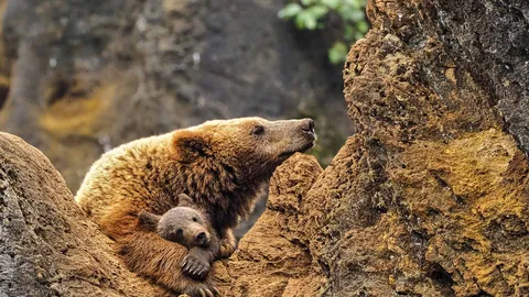 Un d&iacute;a para relajarse