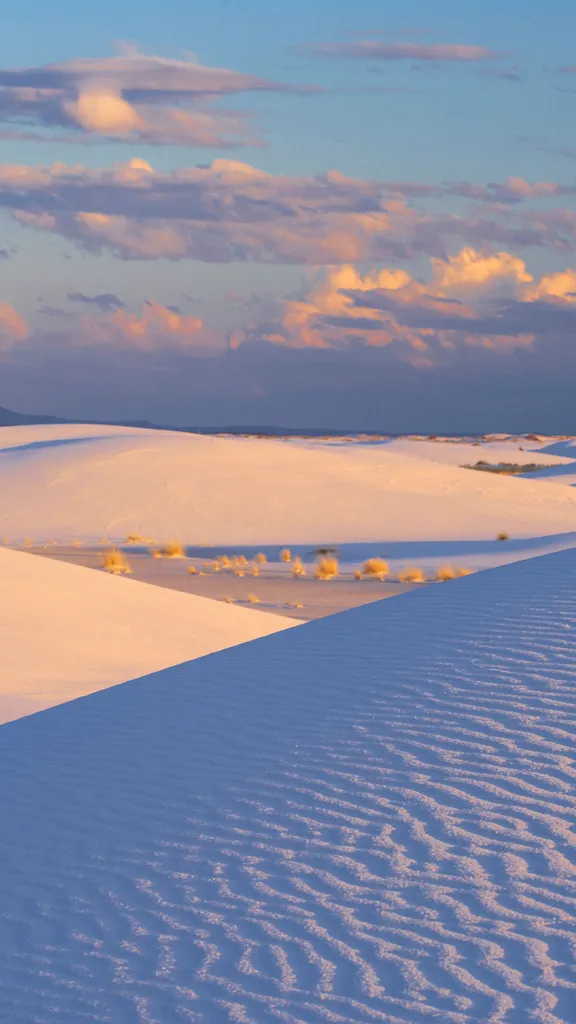 1,001 Mexican dunes