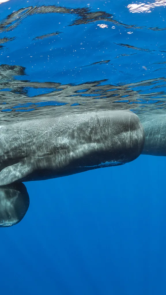来一口新鲜空气