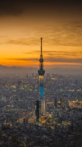 スカイツリー開業から 12 年