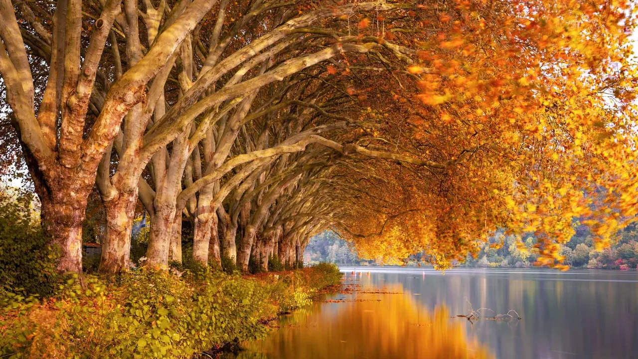 Goldene Momente
