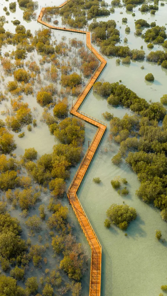 Say hello to these halophytes!