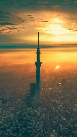 スカイツリー開業から 14 年