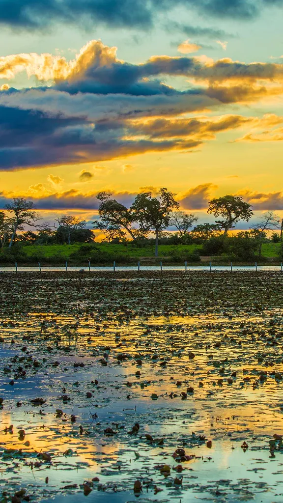 Ando devagar porque j&aacute; tive pressa...