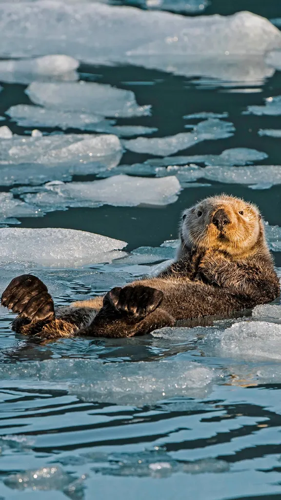 La gardienne des oc&eacute;ans