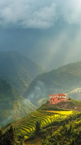 Rice fields at Sapa, L&agrave;o Cai, Vietnam