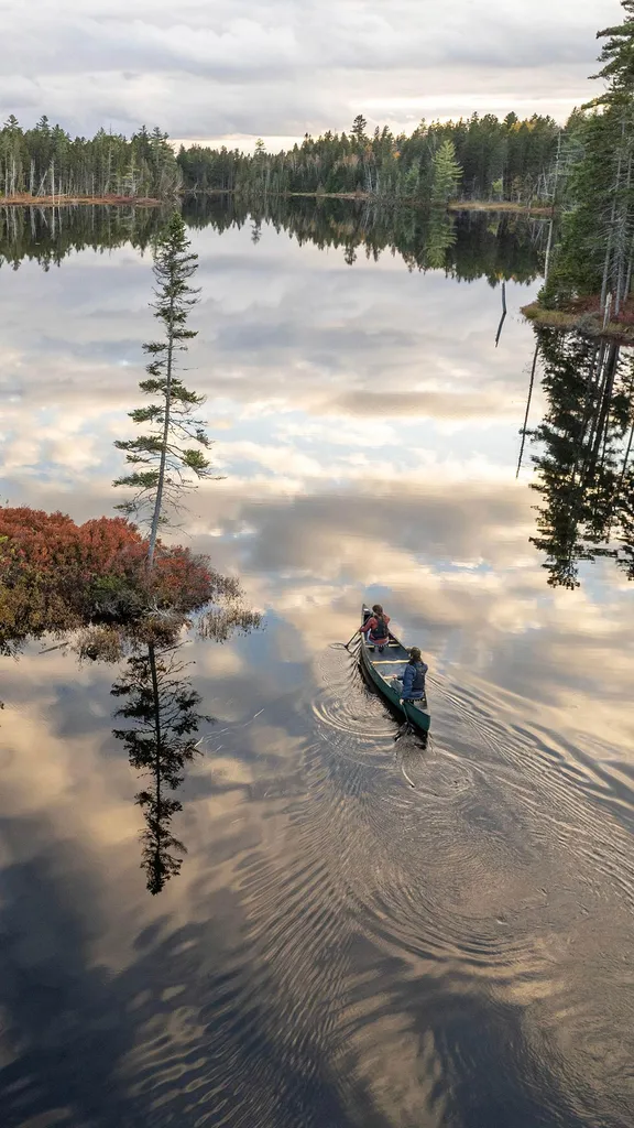 Falando sobre bosques e &aacute;guas