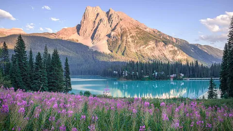 Nature's summer showcase