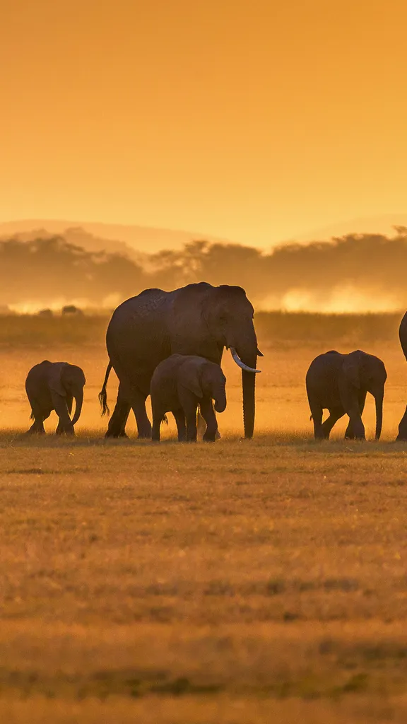 Un engagement plan&eacute;taire pour sauver ces g&eacute;ants
