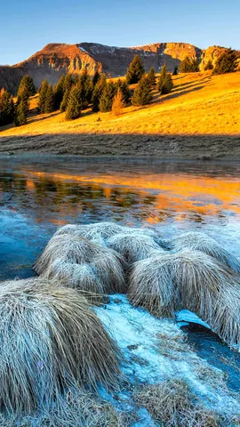 Una delizia sotto ogni aspetto!