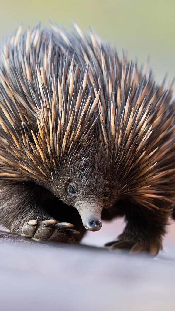 激发你的好奇心