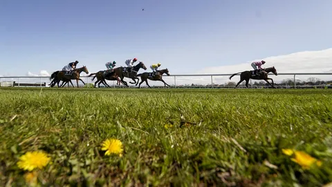 Hold your horses&mdash;it's race time!